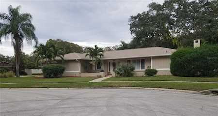 976 Woodland Dr Palm Harbor, FL 34683