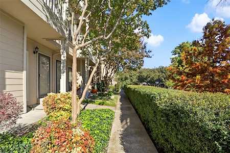 14333 Preston Road #1104 Dallas, TX 75254