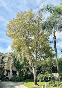 310 Laurel Oaks Way Jupiter, FL 33458