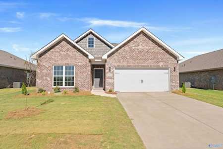 203 Goldie Court New Market, AL 35761
