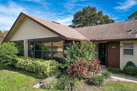 1463 Summer Isle Ct Dunedin, FL 34698