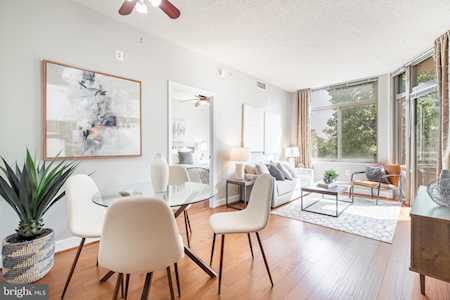 3650 S Glebe Rd #252 Arlington, VA 22202