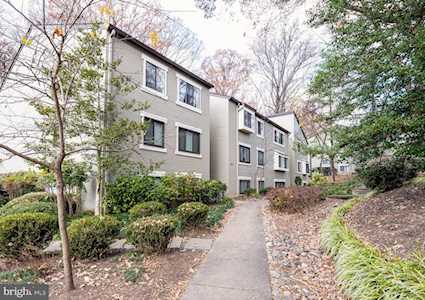 11721 Karbon Hill Ct #102 Reston, VA 20191