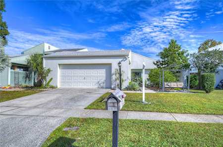 16117 Gardendale Dr Tampa, FL 33624