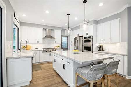 1653 Via Tulipan San Clemente, CA 92673