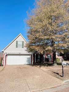 9926 N Greenalder Cv Cordova, TN 38016