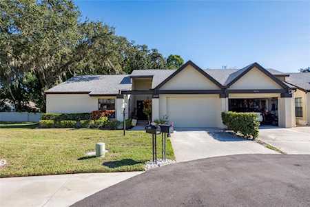 3497 Birchwood Ct Palm Harbor, FL 34684