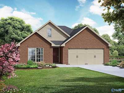 105 Silkwood Court Huntsville, AL 35824