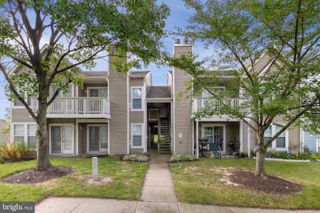 6415 Green Field Rd #1308 Elkridge, MD 21075