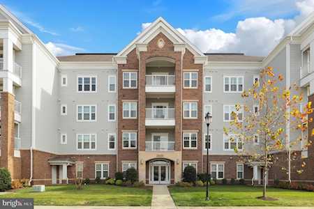 20630 Hope Spring Terrace #206 Ashburn, VA 20147