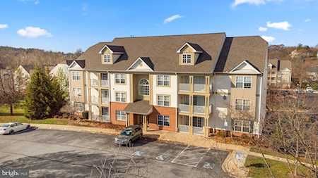 6117 Springwater Place #1724 Frederick, MD 21701
