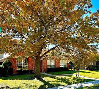 4700 Holly Berry Drive Plano, TX 75093