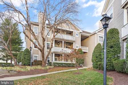 14300 Grape Holly Grove #13 Centreville, VA 20121