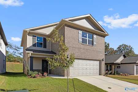 14616 Ravenel Drive Harvest, AL 35749