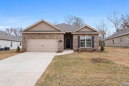 141 River Springs Court New Market, AL 35761