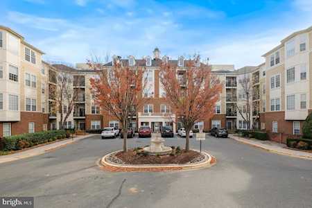 701 Fallsgrove Dr #404 Rockville, MD 20850