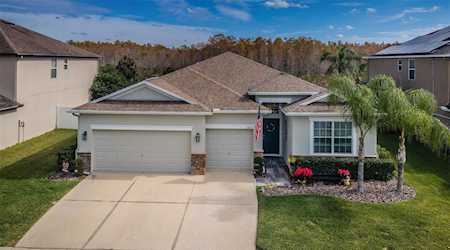 3820 Round Table Ct Land O Lakes, FL 34638