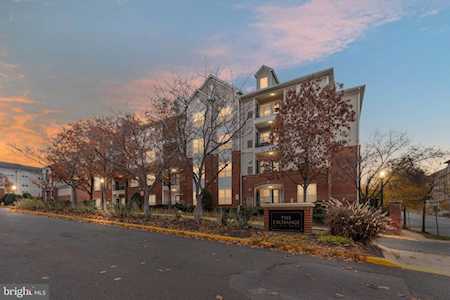 4850 Eisenhower Ave #221 Alexandria, VA 22304