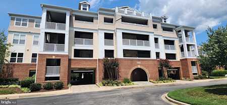 534 Oyster Bay Place #401 Solomons, MD 20688