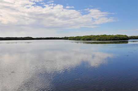 1373 Perico Point CIRCLE #132 Bradenton, FL 34209