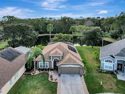 12552 Blazing Star Dr Tampa, FL 33626