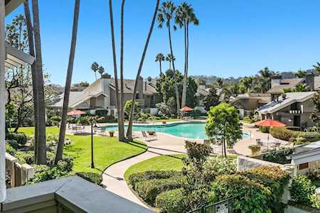 16066 Via Viajera Street Rancho Santa Fe, CA 92091