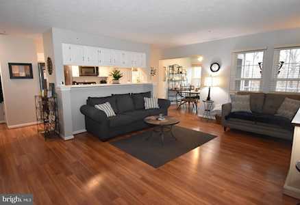 75 Willow Path Ct Nottingham, MD 21236