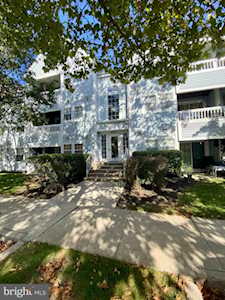 8601 Falls Run Rd #E Ellicott City, MD 21043