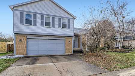 55 W Fabish Dr Buffalo Grove, IL 60089