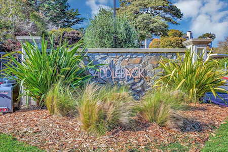 2106 Wildflower Ct Daly City, CA 94014