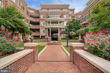66 Franklin St #214 Annapolis, MD 21401