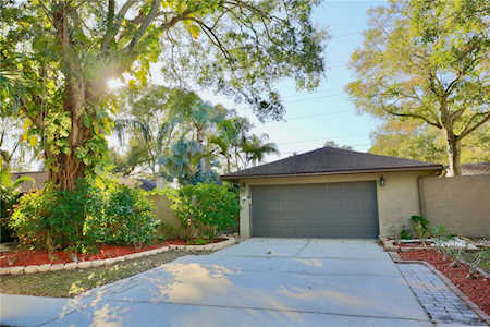 656 Channing Dr Palm Harbor, FL 34684