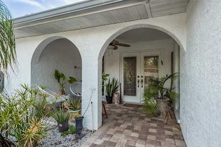 565 Sandy Hook Rd Palm Harbor, FL 34683