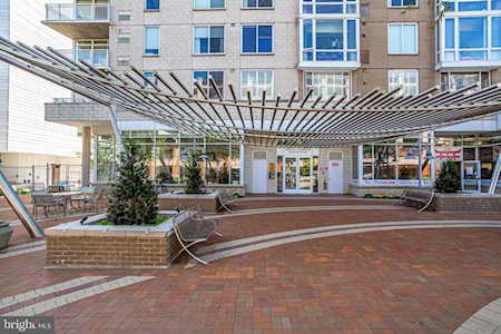 930 Wayne Ave #1002 Silver Spring, MD 20910