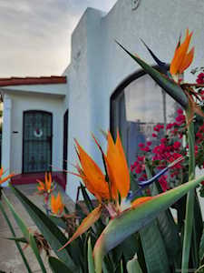 3994 Texas Street San Diego, CA 92104