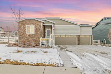 2167 Deer Hollow Trl Castle Rock, CO 80104