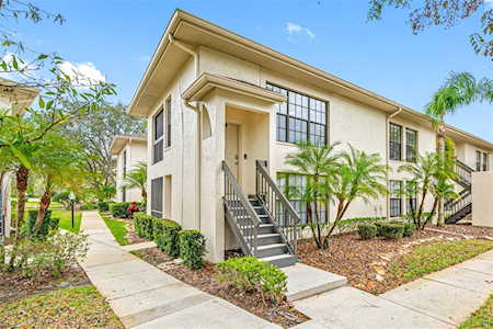 Farrell Park Condos of Ridgemoor| Palm Harbor FL for Sale