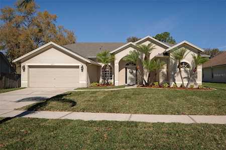 Villages At Wesley Chapel In Wesley Chapel, Fl Homes For Sale