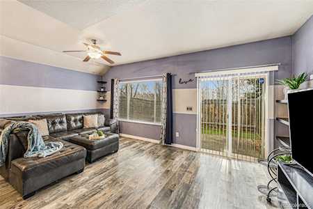 647 Hailey Glenn View Colorado Springs, CO 80916