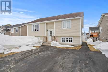 Real Estate - Two Apartment Homes for Sale in Paradise, NL