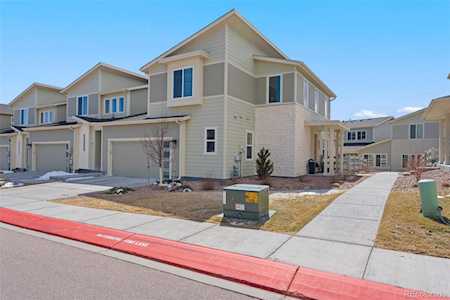 6437 Alyssum Heights Colorado Springs, CO 80924