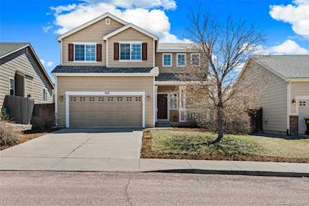 369 Avocet Loop Colorado Springs, CO 80921