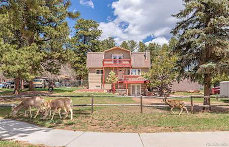 218 Chester Ave Woodland Park, CO 80863