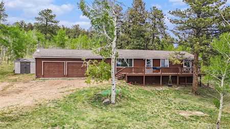 38 Deerhaven Dr Bailey, CO 80421