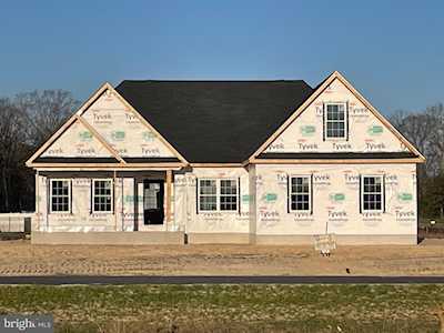 Delaware Sweat à Capuche Unisexe | Sweat-shirt Universitaire