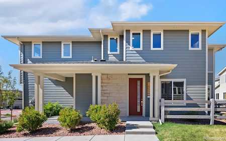 10054 Poppy Mallow Point Colorado Springs, CO 80924