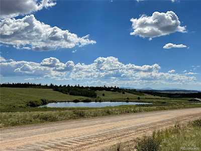 1957 Coil Dr Fairplay, CO 80440