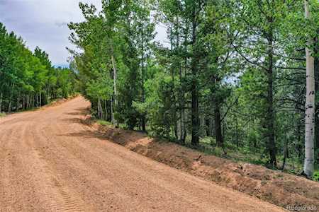 677 Timber Ridge Rd Divide, CO 80814