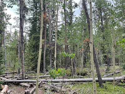 00 Rye Ct Fairplay, CO 80440