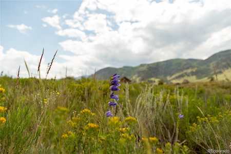 219 Bluebird Ln Creede, CO 81130